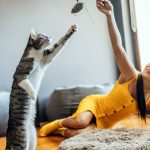 Get to know the benefits of giving your cat joint supplements
